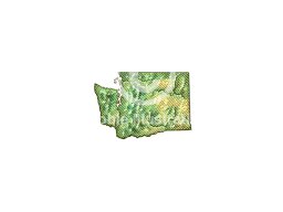 washington state art 1